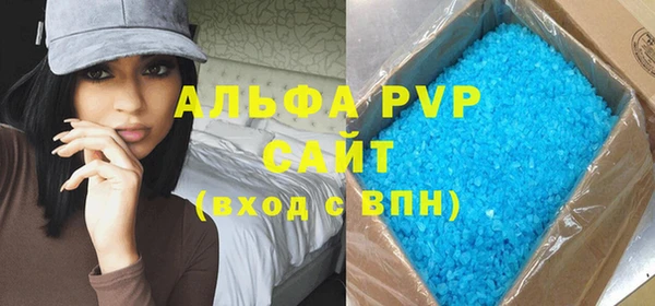 стаф Алзамай