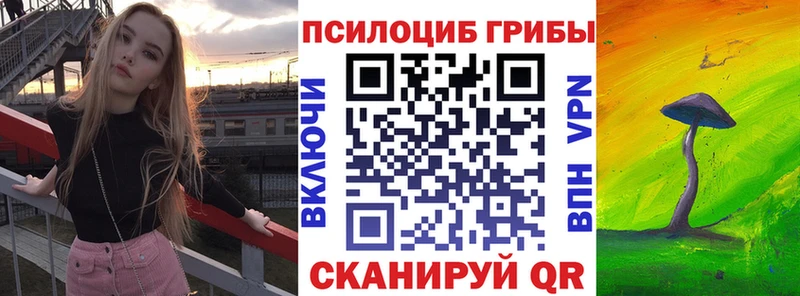 Галлюциногенные грибы GOLDEN TEACHER  Купить где  Ачхой-Мартан 