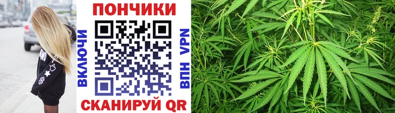 Купить  Ачхой-Мартан  Бошки марихуана OG Kush 